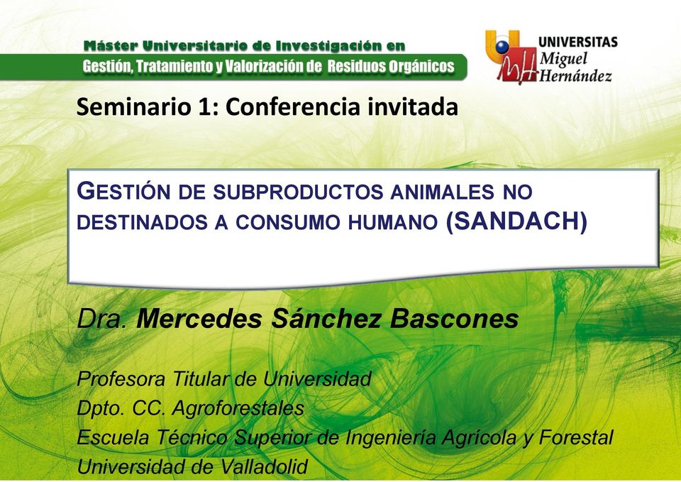 Mercedes Sánchez Bascones Profesora Titular de Universidad Dpto. CC.