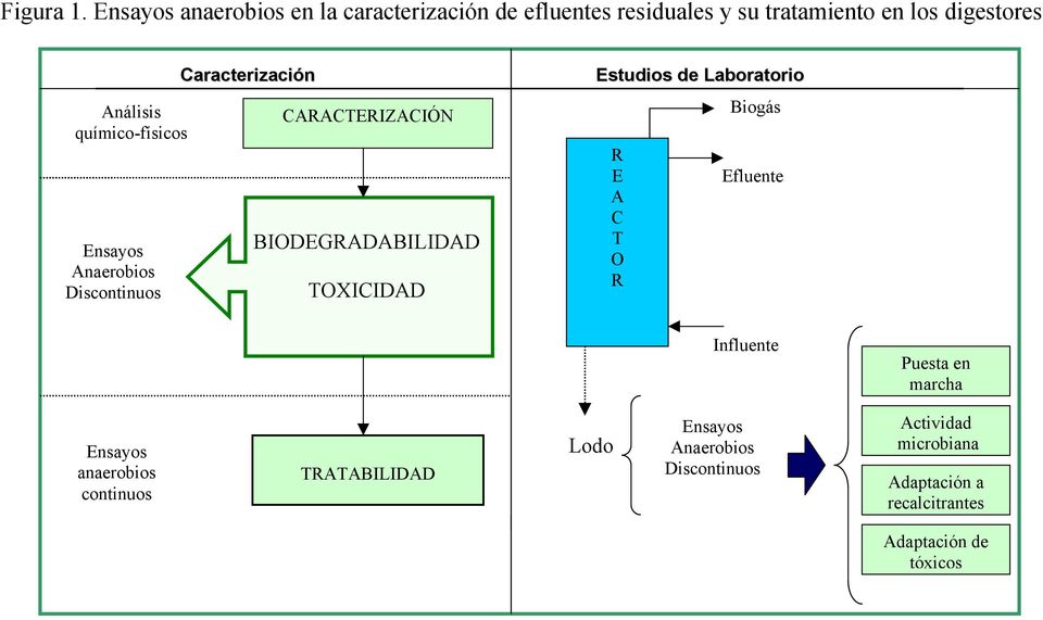 químico-físicos Ensayos Anaerobios Discontinuos Caracterización CARACTERIZACIÓN BIODEGRADABILIDAD TOXICIDAD