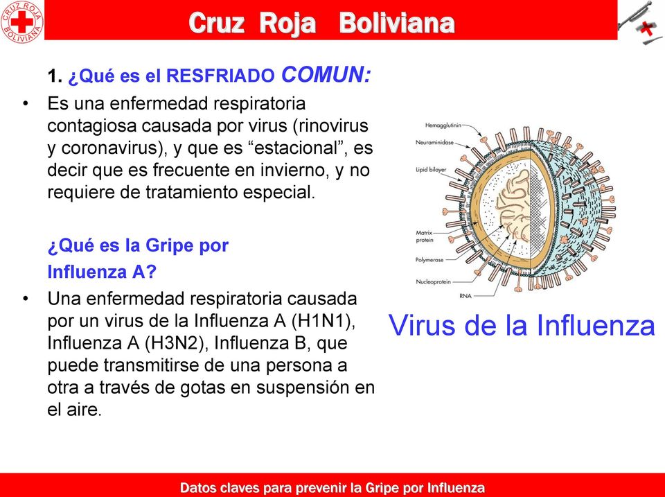 Qué es la Gripe por Influenza A?