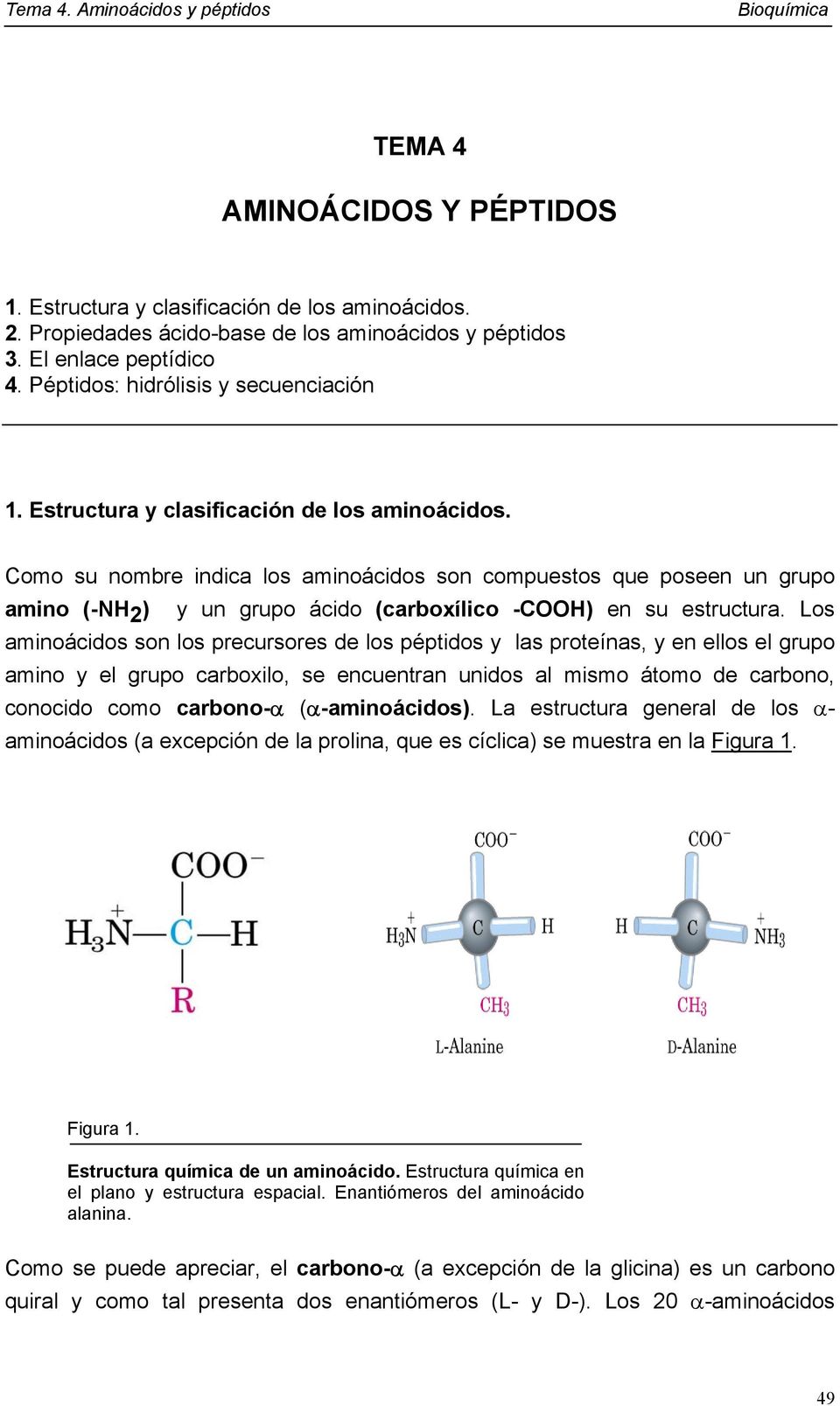 Como su nombre indica los aminoácidos son compuestos que poseen un grupo amino (-NH 2 ) y un grupo ácido (carboxílico -COOH) en su estructura.