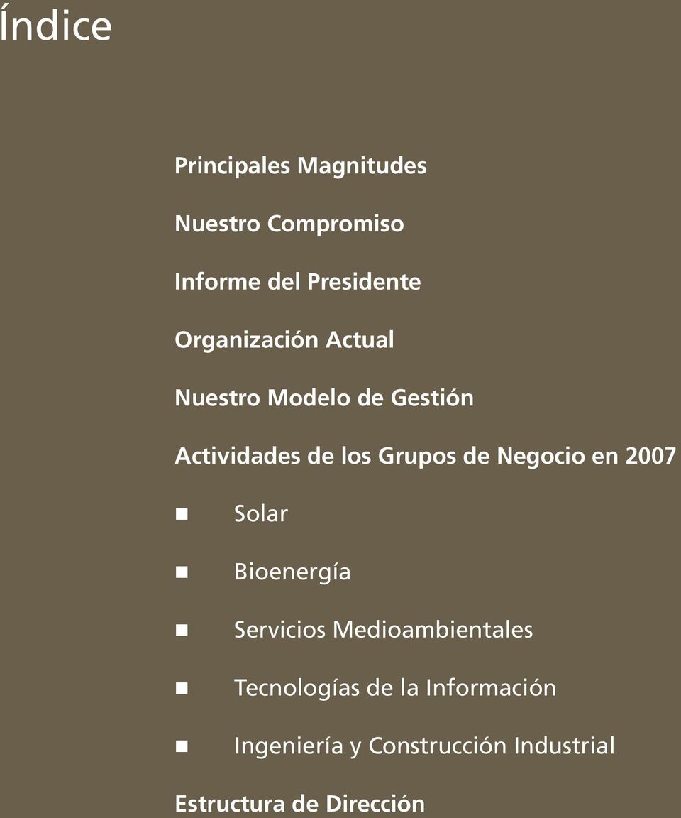 Negocio en 2007 Solar Bioenergía Servicios Medioambientales Tecnologías de