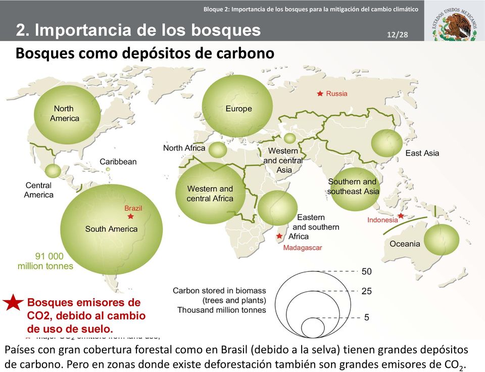 Países con gran cobertura forestal como en Brasil (debido a la selva) tienen