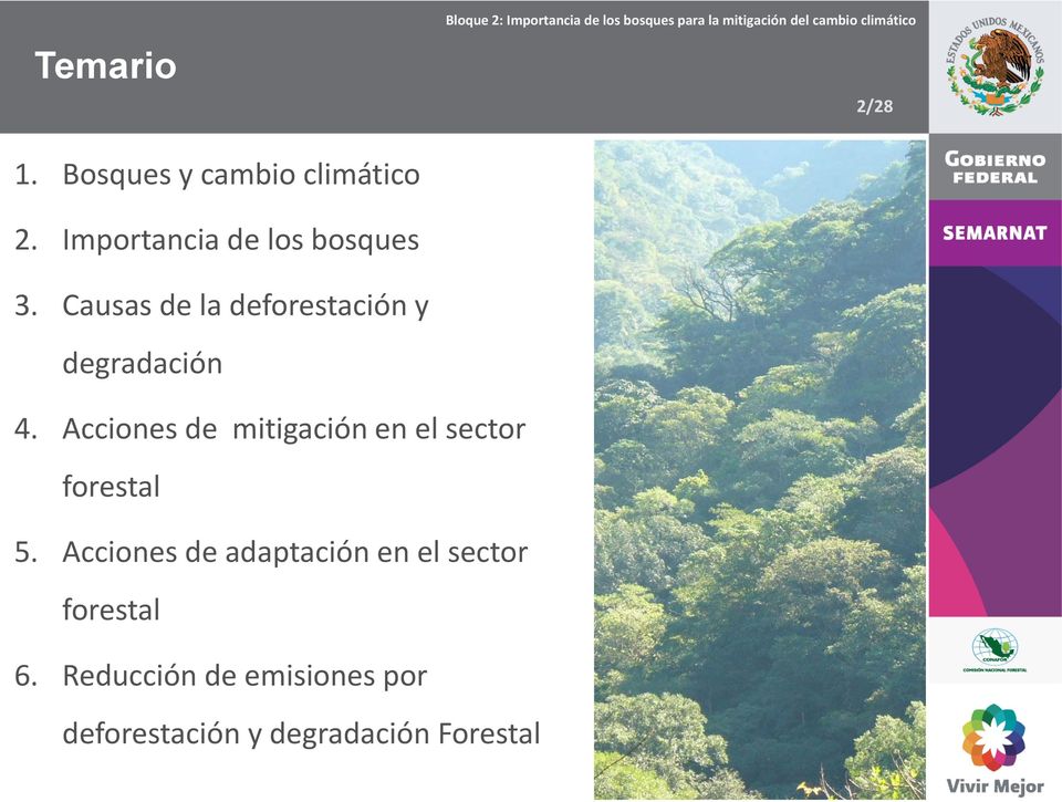 Causas de la deforestación y degradación 4.