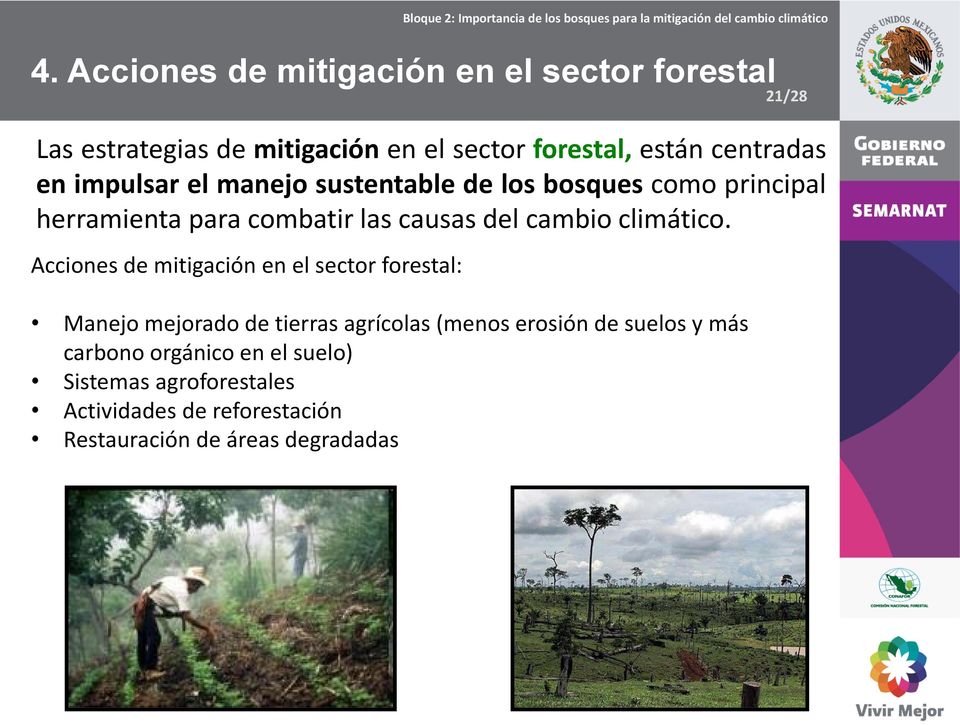 Acciones de mitigación en el sector forestal: 4.