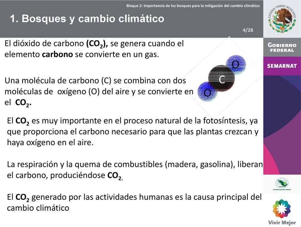 El CO 2 es muy importante en el proceso natural de la fotosíntesis, ya que proporciona el carbono necesario para que las plantas crezcan y haya
