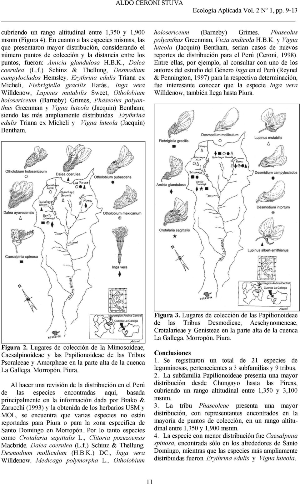 , Dalea coerulea (L.f.) Schinz & Thellung, Desmodium campyloclados Hemsley, Erythrina edulis Triana ex Micheli, Fiebrigiella gracilis Harás.