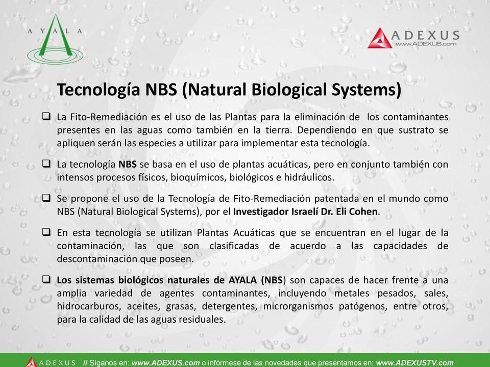 La tecnología NBS se basa en el uso de plantas acuáticas, pero en conjunto también con intensos procesos físicos, bioquímicos, biológicos e hidráulicos.