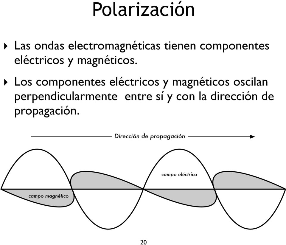 Los componentes eléctricos y magnéticos oscilan