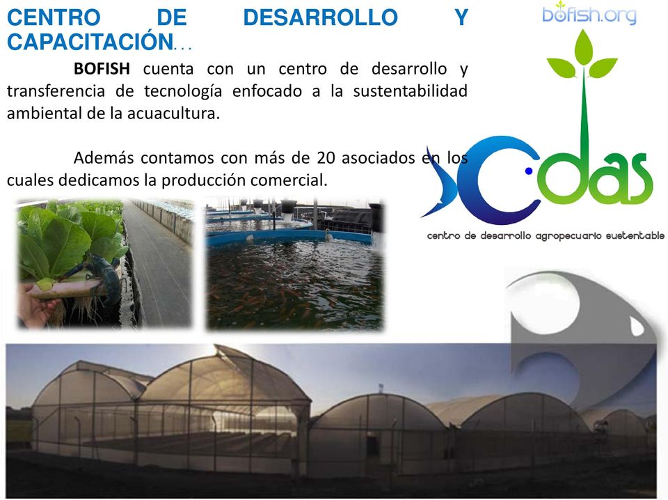 sustentabilidad ambiental de la acuacultura.