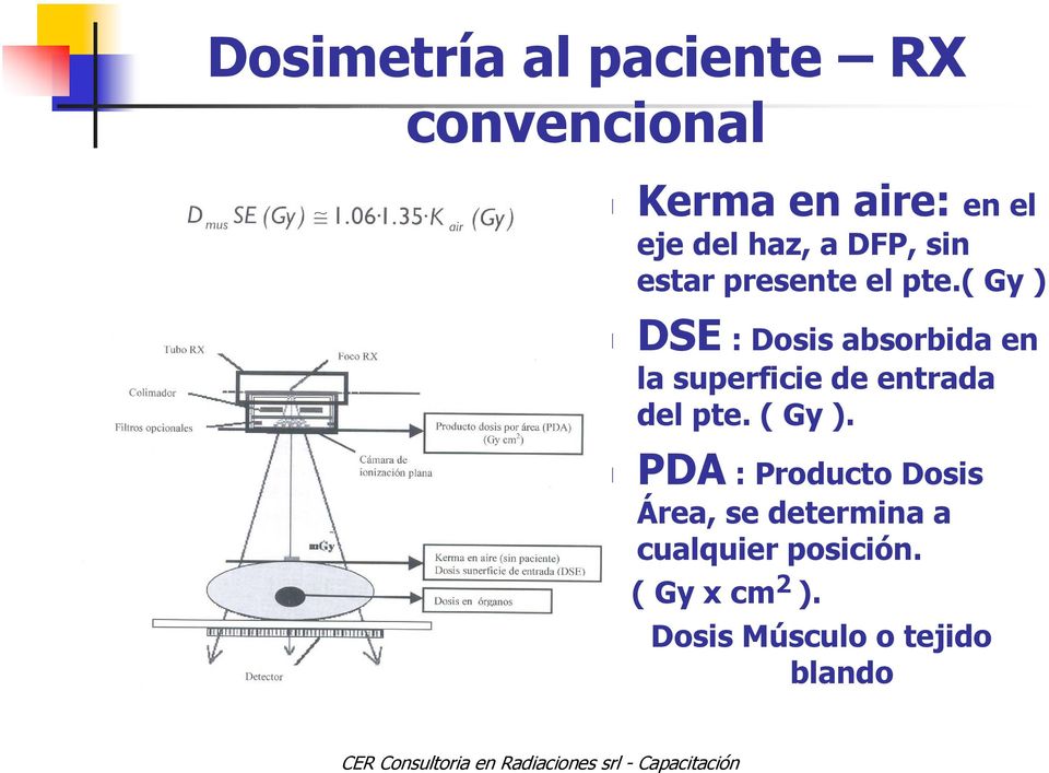 ( Gy ) DSE : Dosis absorbida en la superficie de entrada del pte.