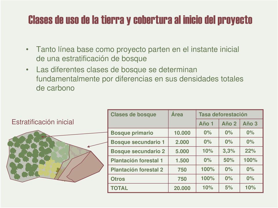 inicial Clases de bosque Área Tasa deforestación Año 1 Año 2 Año 3 Bosque primario 10.000 0% 0% 0% Bosque secundario 1 2.
