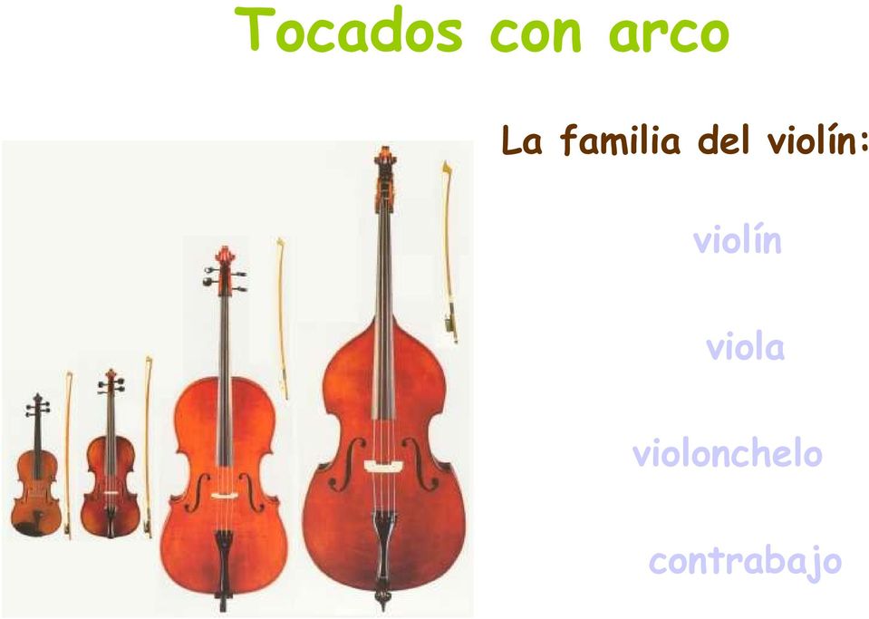 violín: violín