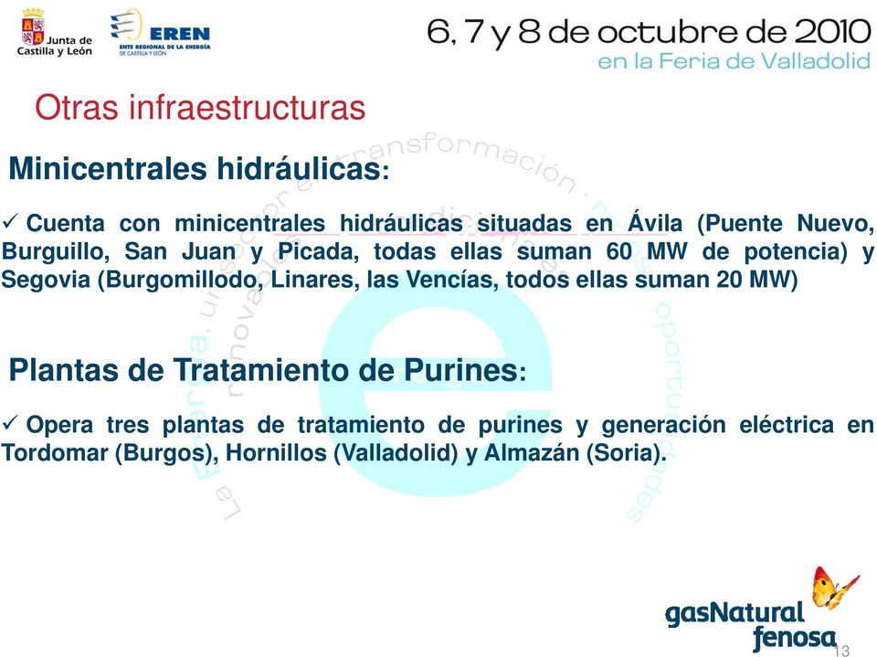Linares, las Vencías, todos ellas suman 20 MW) Plantas de Tratamiento de Purines: Opera tres plantas de