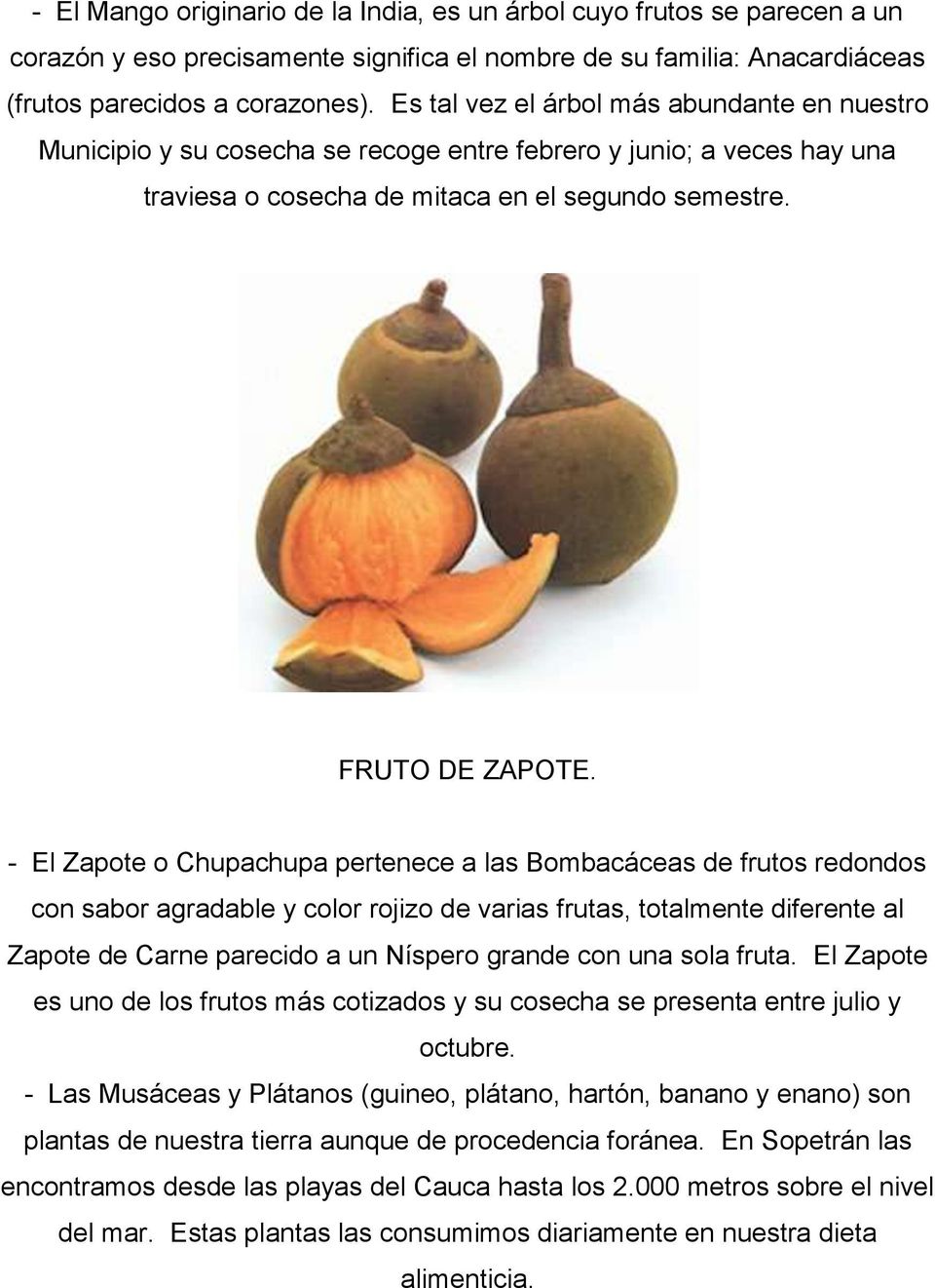 - El Zapote o Chupachupa pertenece a las Bombacáceas de frutos redondos con sabor agradable y color rojizo de varias frutas, totalmente diferente al Zapote de Carne parecido a un Níspero grande con