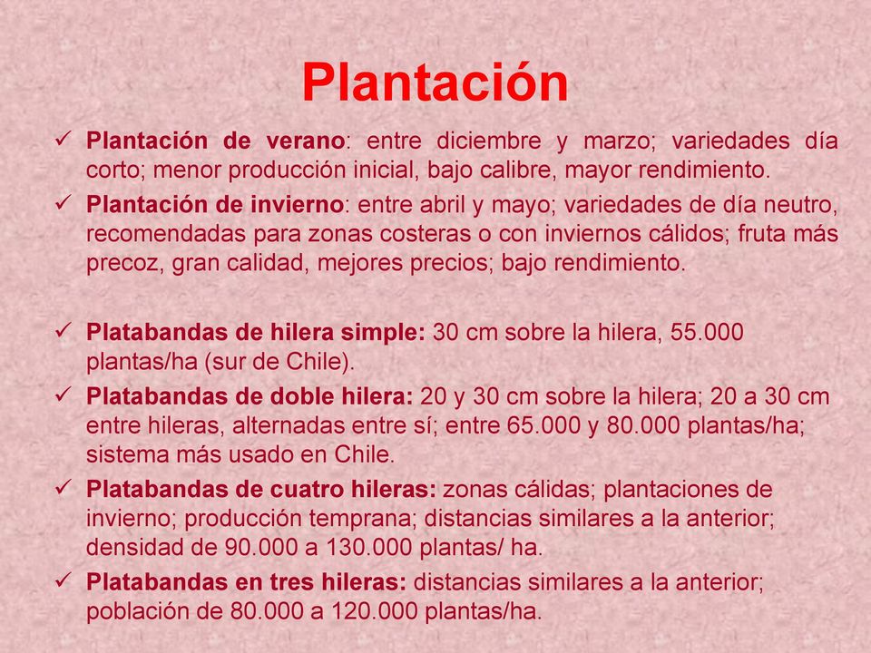 Platabandas de hilera simple: 30 cm sobre la hilera, 55.000 plantas/ha (sur de Chile). Platabandas de doble hilera: 20 y 30 cm sobre la hilera; 20 a 30 cm entre hileras, alternadas entre sí; entre 65.