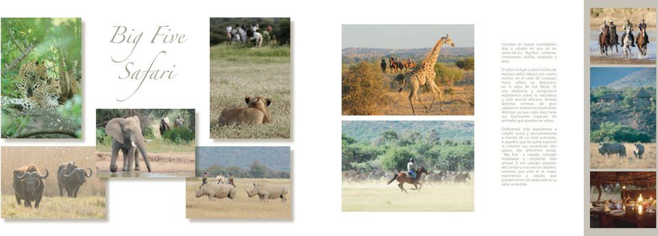 Es una explosiva y excepcional experiencia sobre la naturaleza y vida animal africana.