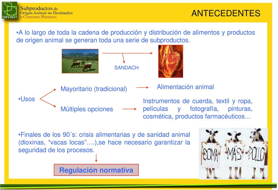 SANDACH Usos Mayoritario (tradicional) Múltiples opciones Alimentación animal Instrumentos de cuerda, textil y ropa, películas
