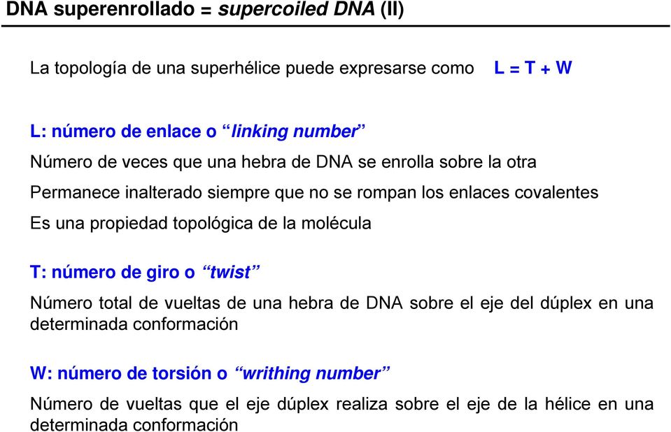 propiedad topológica de la molécula T: número de giro o twist Número total de vueltas de una hebra de DNA sobre el eje del dúplex en una