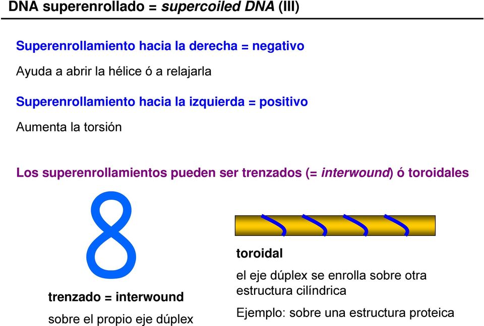 superenrollamientos pueden ser trenzados (= interwound) ó toroidales trenzado = interwound sobre el