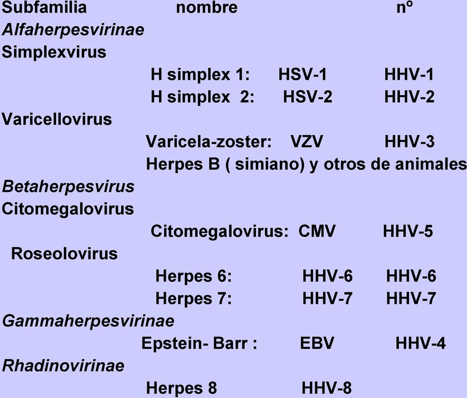 Betaherpesvirus Citomegalovirus Citomegalovirus: CMV HHV-5 Roseolovirus Herpes 6: HHV-6 HHV-6