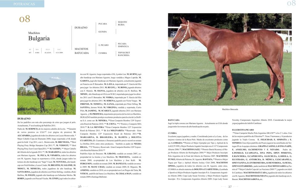 SERPICO, de los mejores caballos de la cría. **Ganador de varios premios en USA** (ver página de premios) M. ALCAPARRA, jugadora de todos los abiertos con Lucas Monteverde.