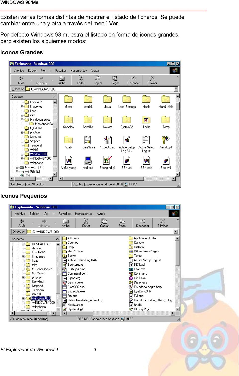 Por defecto Windows 98 muestra el listado en forma de iconos grandes,
