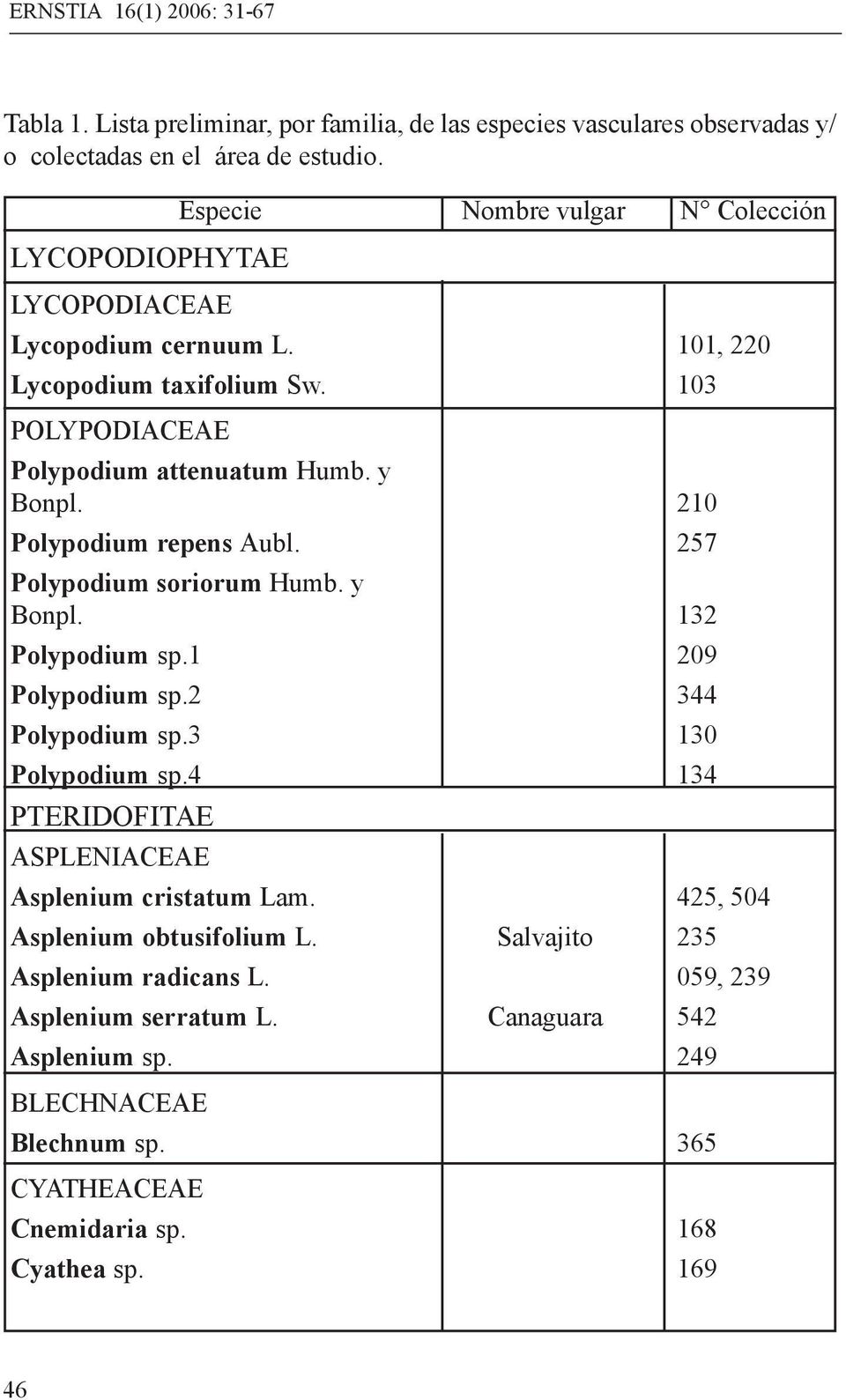 257 Polypodium soriorum Humb. y Bonpl. 132 Polypodium sp.1 209 Polypodium sp.2 344 Polypodium sp.3 130 Polypodium sp.