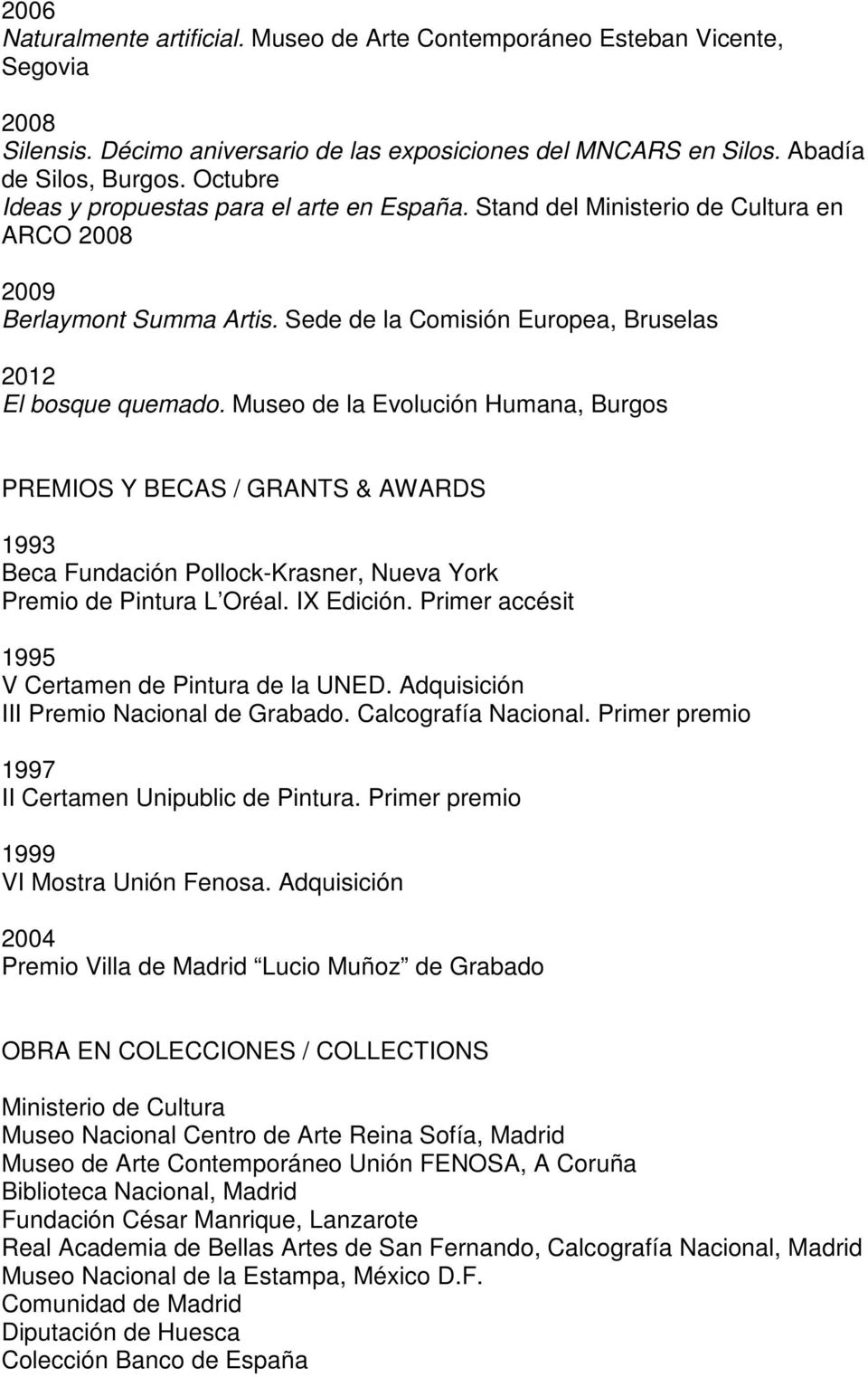 Museo de la Evolución Humana, Burgos PREMIOS Y BECAS / GRANTS & AWARDS 1993 Beca Fundación Pollock-Krasner, Nueva York Premio de Pintura L Oréal. IX Edición.