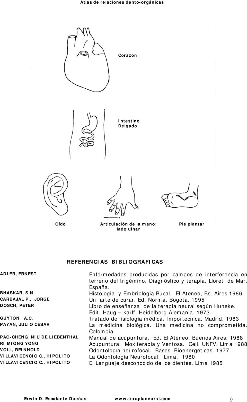 1995 DOSCH, PETER Libro de enseñanza de la terapia neural según Huneke. Edit. Haug karlf, Heidelberg Alemania. 1973. GUYTON A.C. Tratado de fisiología médica. Importecnica.