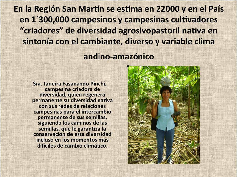 con el cambiante, diverso y variable clima andino- amazónico Sra.