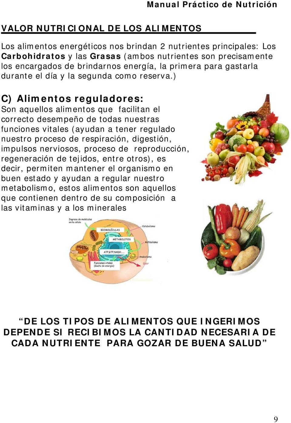 ) C) Alimentos reguladores: Son aquellos alimentos que facilitan el correcto desempeño de todas nuestras funciones vitales (ayudan a tener regulado nuestro proceso de respiración, digestión, impulsos