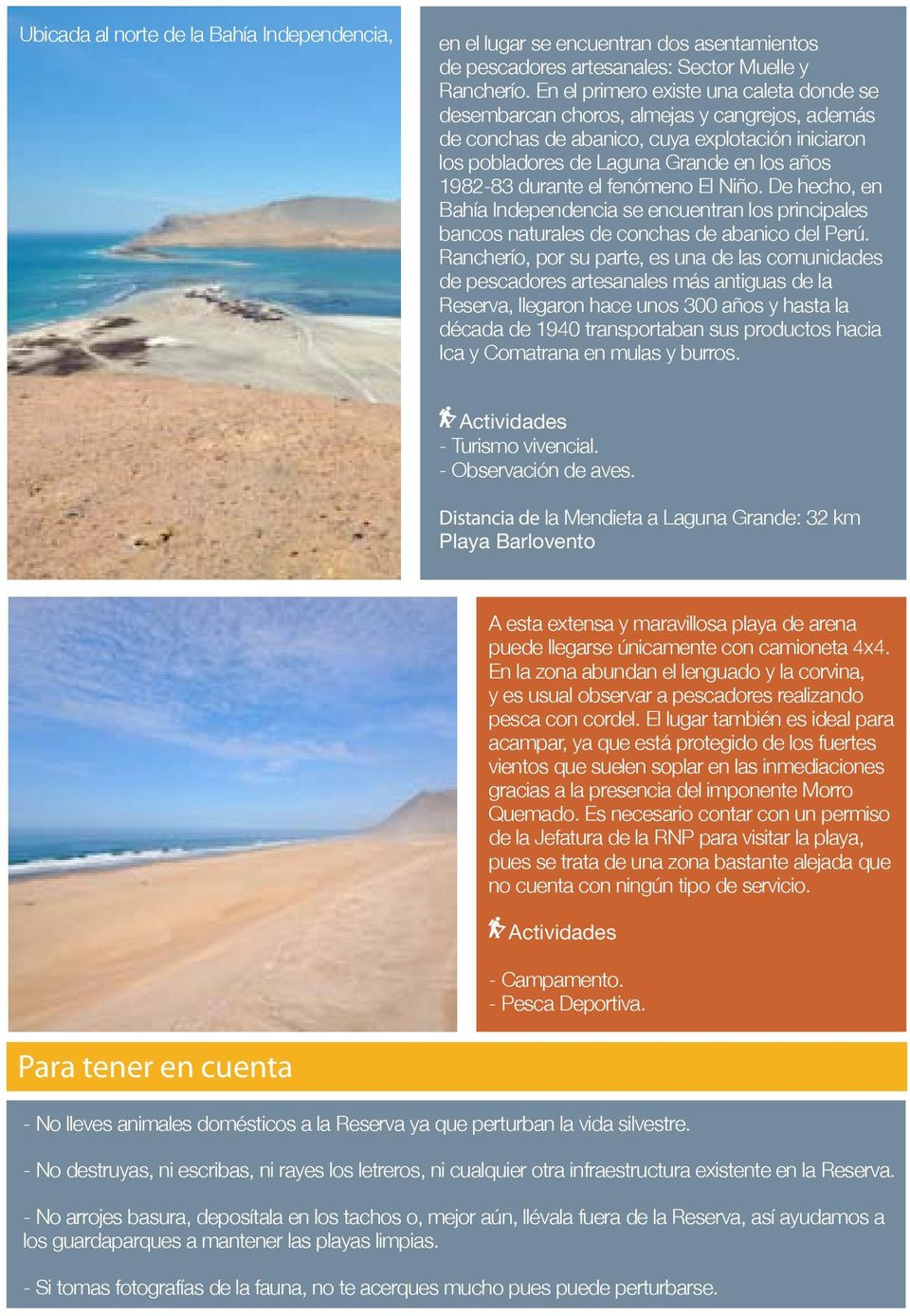 el fenómeno El Niño. De hecho, en Bahía Independencia se encuentran los principales bancos naturales de conchas de abanico del Perú.