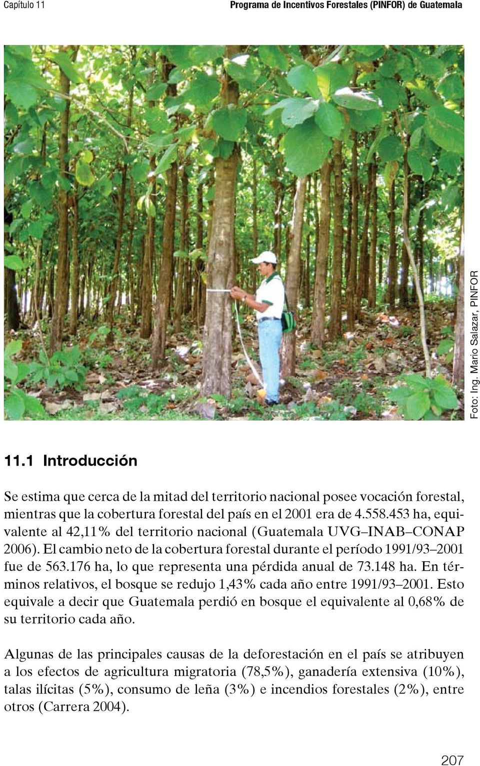 453 ha, equivalente al 42,11% del territorio nacional (Guatemala UVG INAB CONAP 2006). El cambio neto de la cobertura forestal durante el período 1991/93 2001 fue de 563.