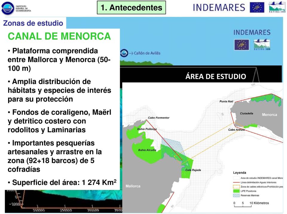 hábitats y especies de interés para su protección ÁREA DE ESTUDIO Menorca Fondos de coraligeno, Maërl