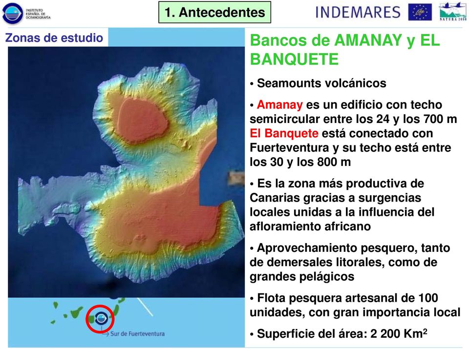 productiva de Canarias gracias a surgencias locales unidas a la influencia del afloramiento africano Aprovechamiento pesquero, tanto