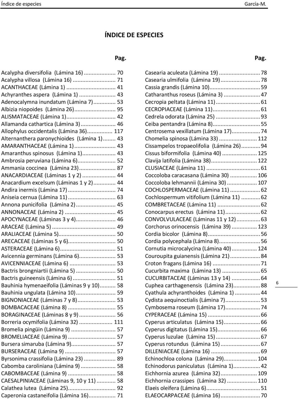 .. 117 Alternanthera paronychioides (Lámina 1)... 43 AMARANTHACEAE (Lámina 1)... 43 Amaranthus spinosus (Lámina 1)... 43 Ambrosia peruviana (Lámina 6)... 52 Ammania coccinea (Lámina 23).