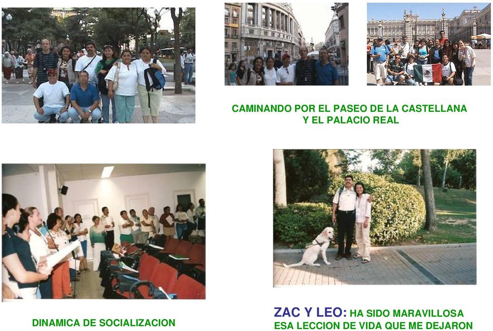 DE SOCIALIZACION ZAC Y LEO: HA SIDO