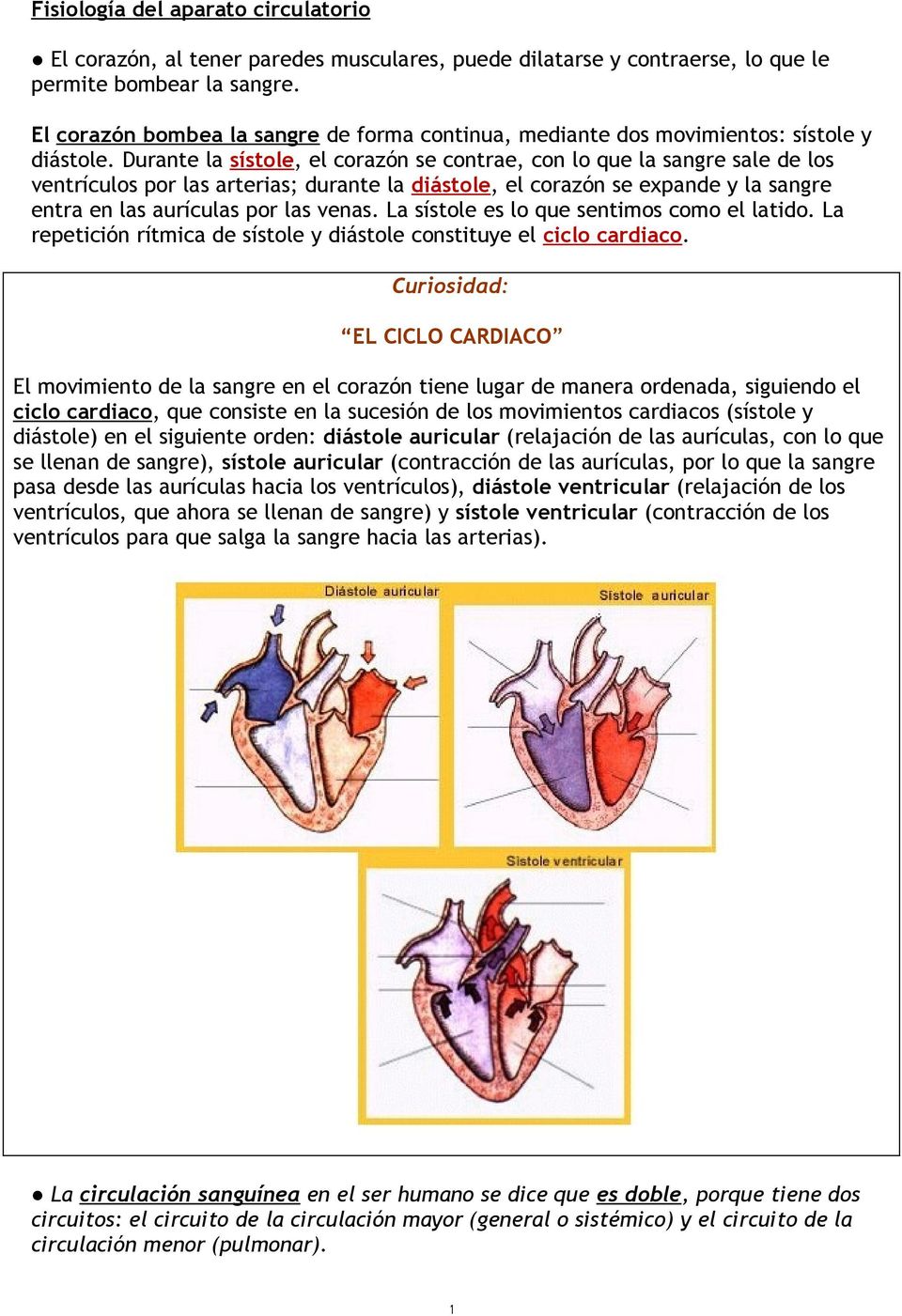 Durante la sístole, el corazón se contrae, con lo que la sangre sale de los ventrículos por las arterias; durante la diástole, el corazón se expande y la sangre entra en las aurículas por las venas.