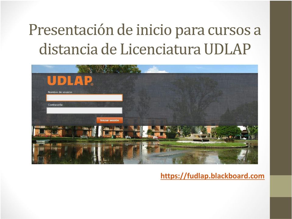 de Licenciatura UDLAP