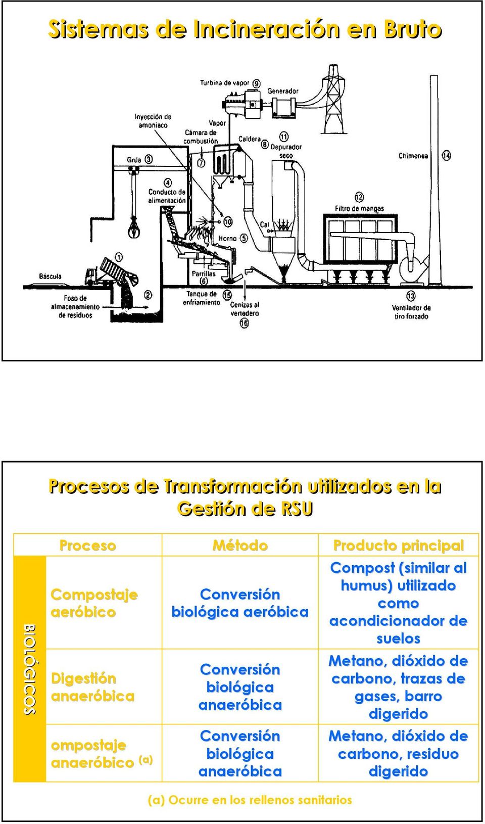 Conversión biológica anaeróbica Producto principal Compost (similar al humus) utilizado como acondicionador de suelos Metano,