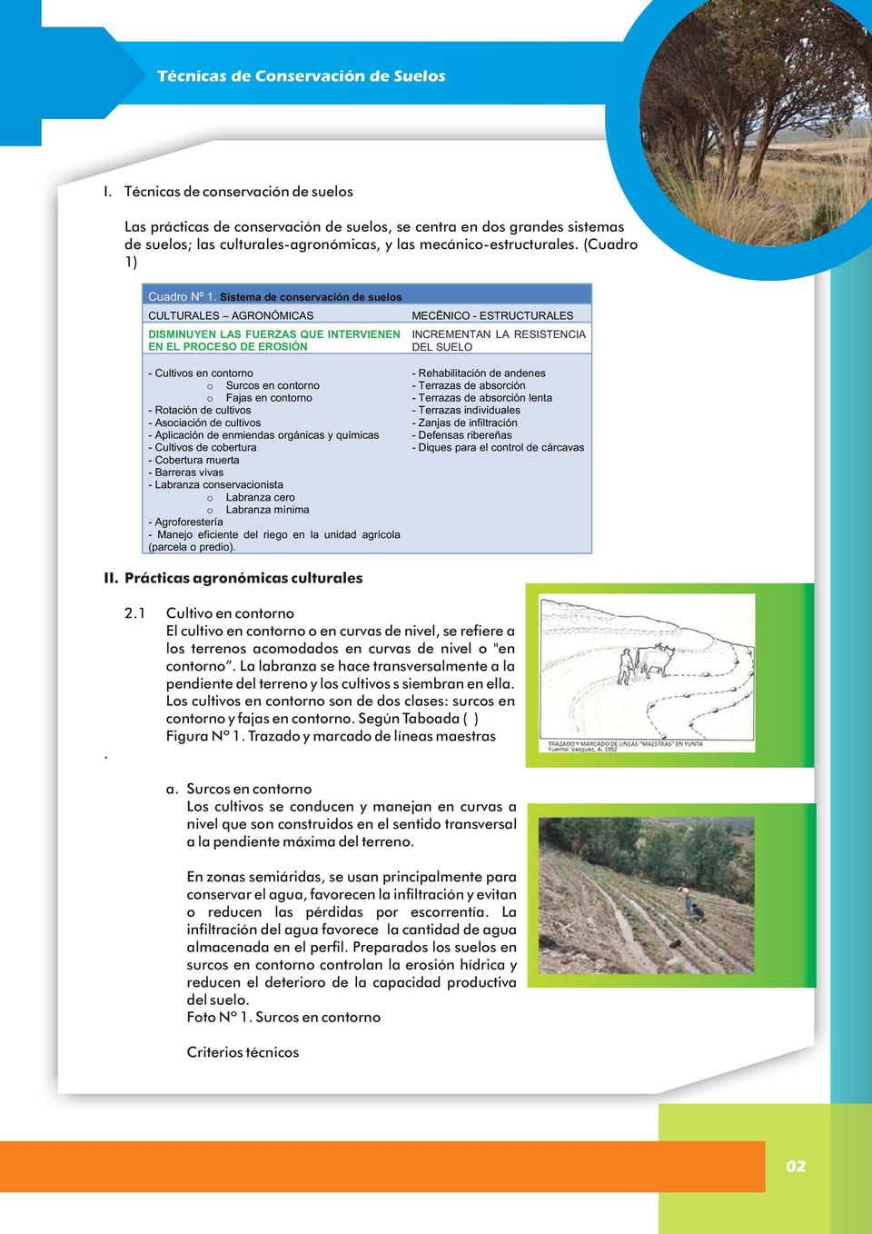Sistema de conservación de suelos CULTURALES AGRONÓMICAS DISMINUYEN LAS FUERZAS QUE INTERVIENEN EN EL PROCESO DE EROSIÓN MECËNICO - ESTRUCTURALES INCREMENTAN LA RESISTENCIA DEL SUELO - Cultivos en