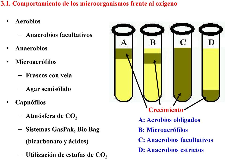 Atmósfera de CO 2 Sistemas GasPak, Bio Bag (bicarbonato y ácidos) Utilización de estufas