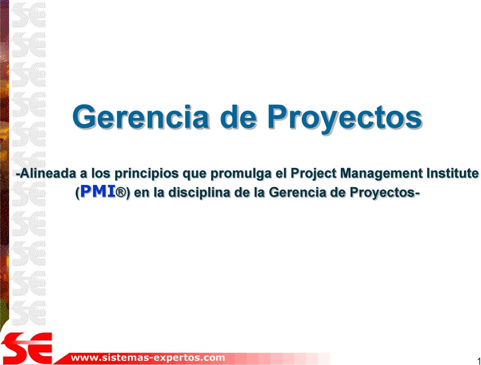 Project Management Institute (PMI )
