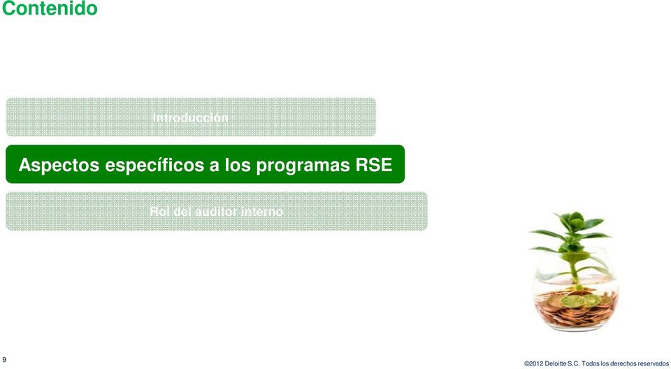 los programas RSE Rol