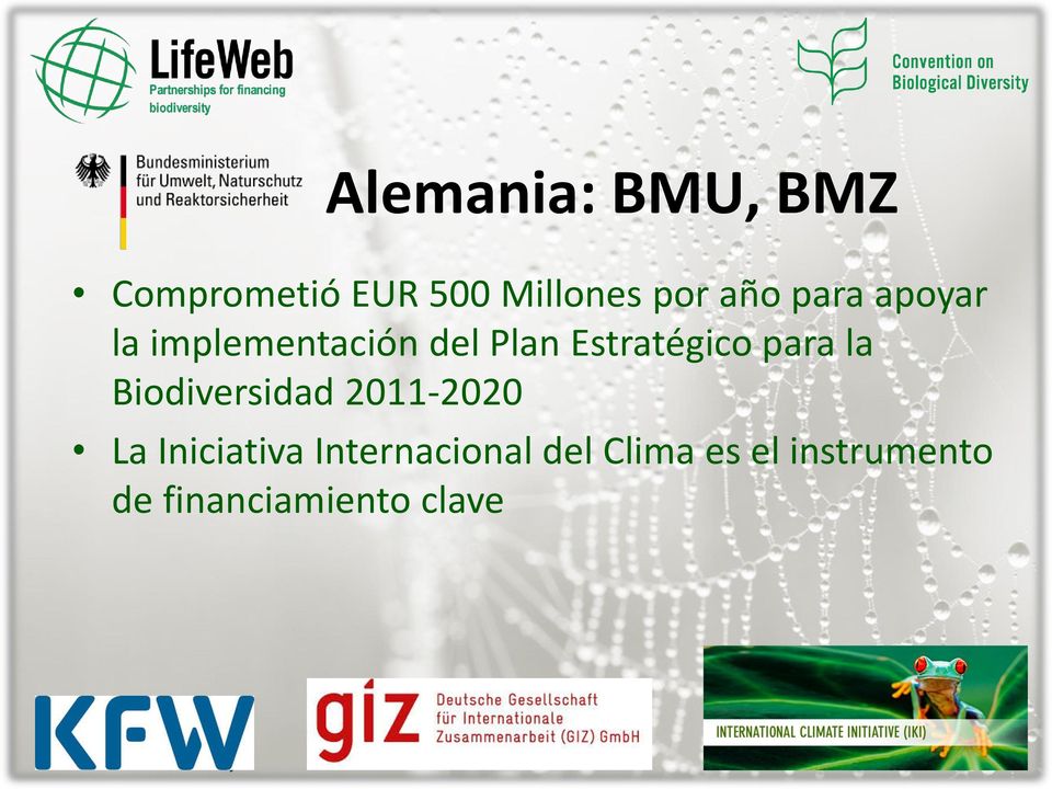 para la Biodiversidad 2011-2020 La Iniciativa