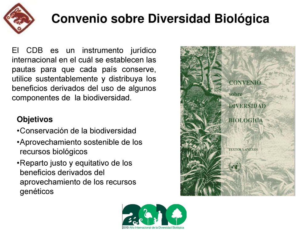 algunos componentes de la biodiversidad.