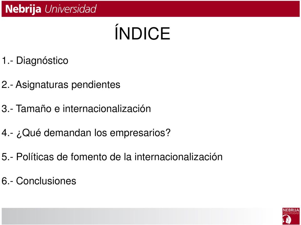 - Tamaño e internacionalización 4.