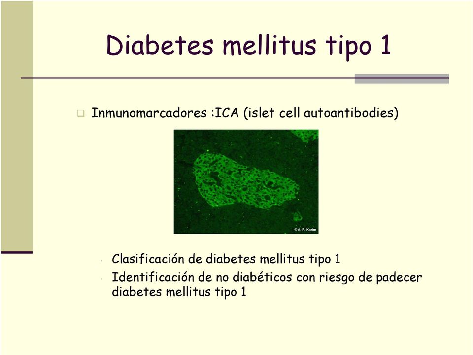 diabetes mellitus tipo 1 Identificación de no