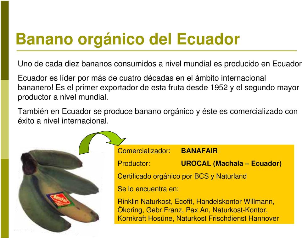 También en Ecuador se produce banano orgánico y éste es comercializado con éxito a nivel internacional.