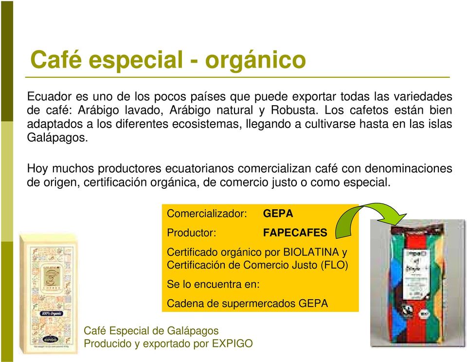 Hoy muchos productores ecuatorianos comercializan café con denominaciones de origen, certificación orgánica, de comercio justo o como especial.